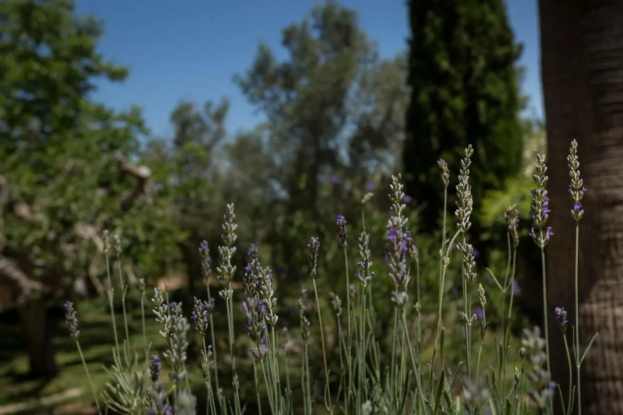 ファームステイ Finca Son Miranda - La Organic センセリェス